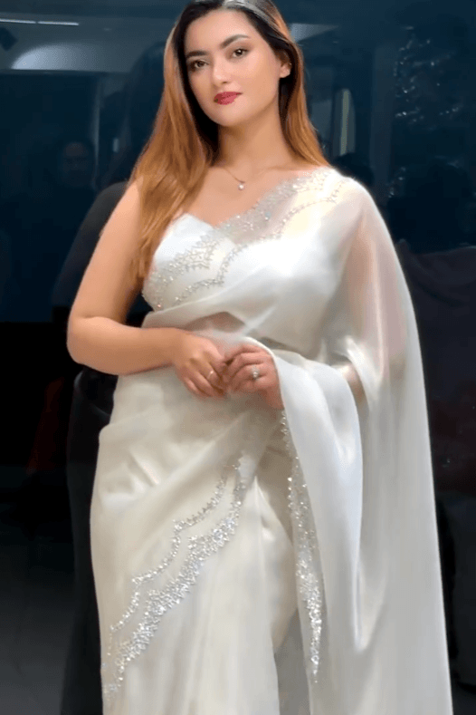 Premium Indian Stone Work Party Saree (White)