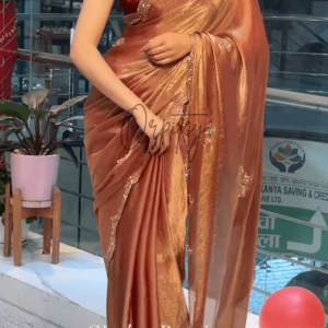 Premium Indian Stone Work Party Saree (Rose Gold)